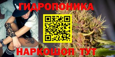 PSILOCYBIN Коломна
