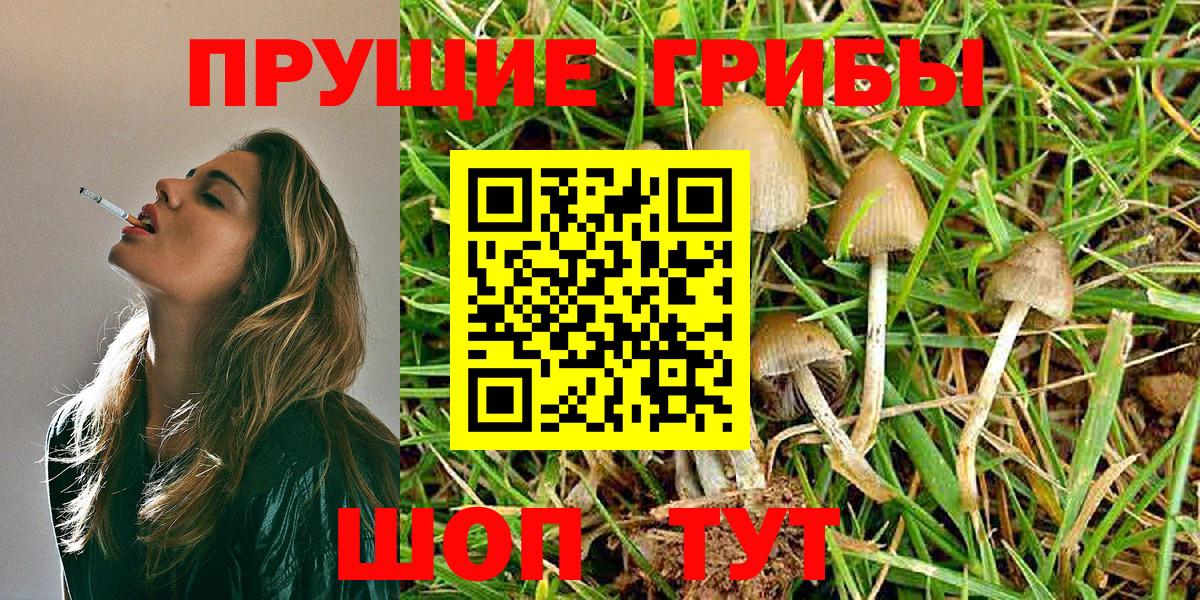 Галлюциногенные грибы Magic Shrooms  Вход с VPN  Вятские Поляны  Псилоцибиновые грибы MAGIC MUSHROOMS 